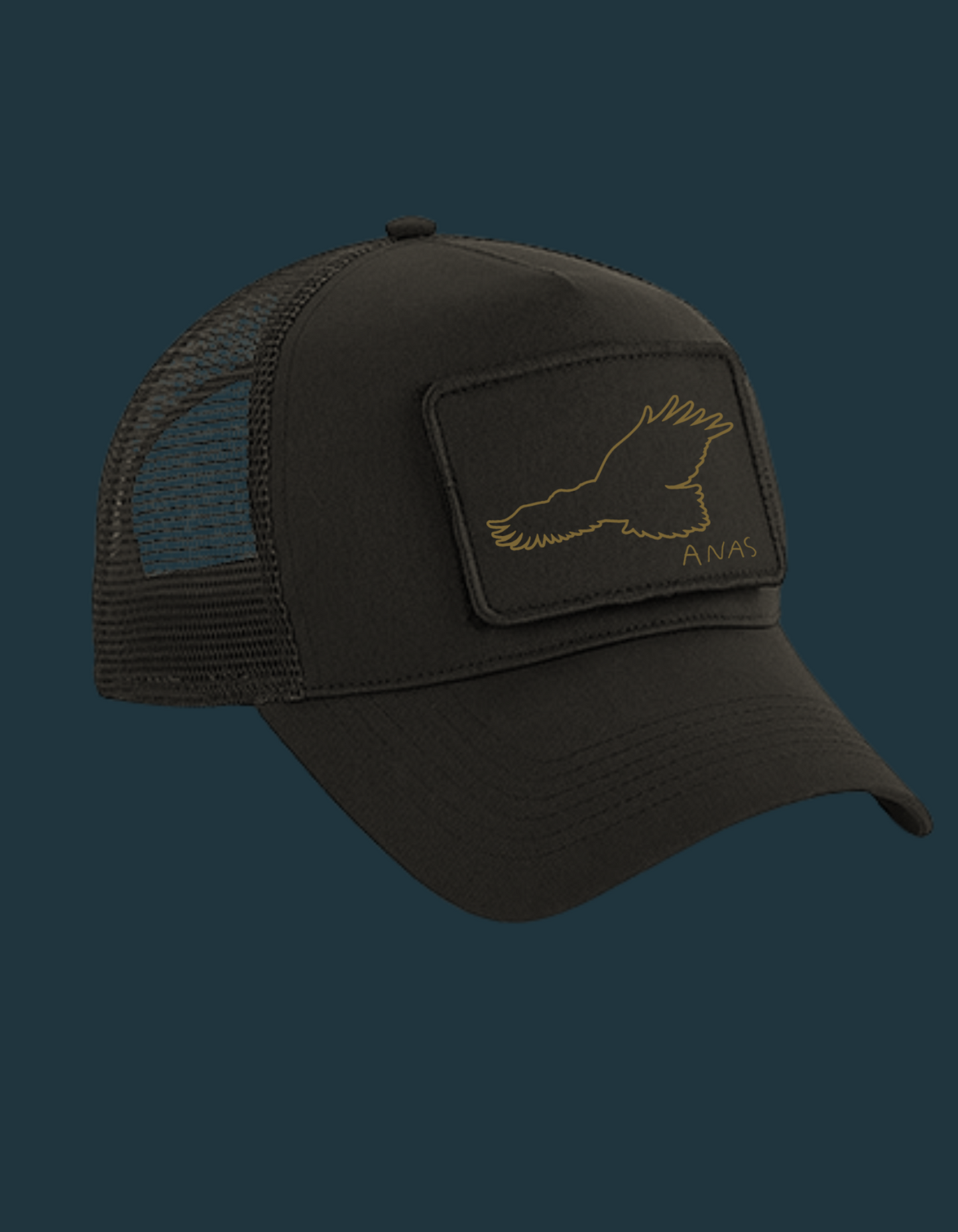 Casquette " Eagle "